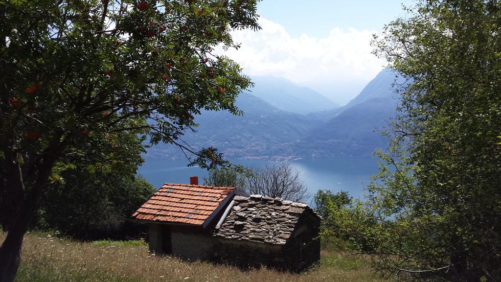 Lake Como View Apartement Allegro Acquaseria Room photo
